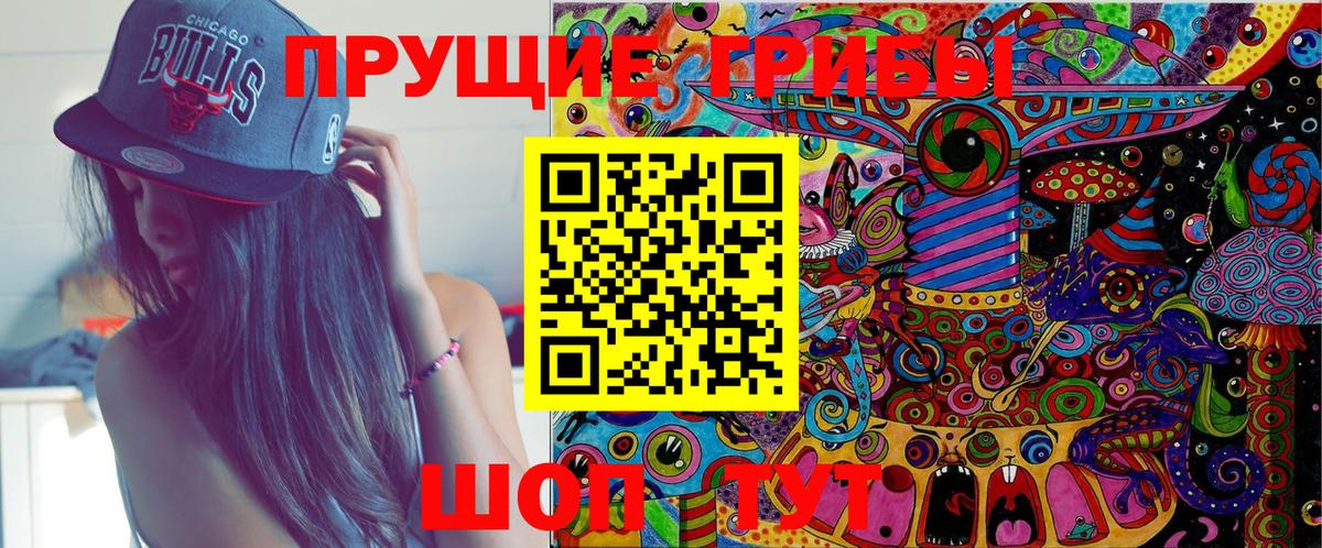 Ревда  Галлюциногенные грибы Psilocybine cubensis  Вход с VPN 